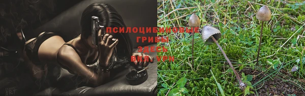 синтетический гашиш Белокуриха