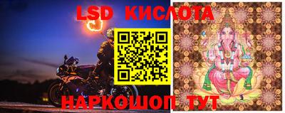 тгк Камышлов