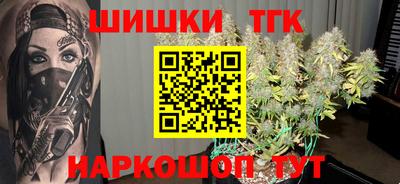 тгк Камышлов
