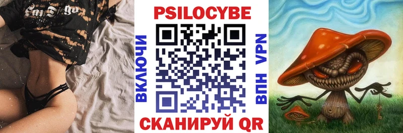 Псилоцибиновые грибы Psilocybine cubensis  что такое   Лыткарино 