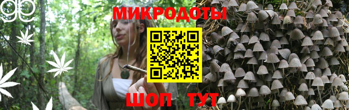 даркнет сайт  Вход с VPN  Псилоцибиновые грибы Psilocybe  Лыткарино  Псилоцибиновые грибы мицелий 