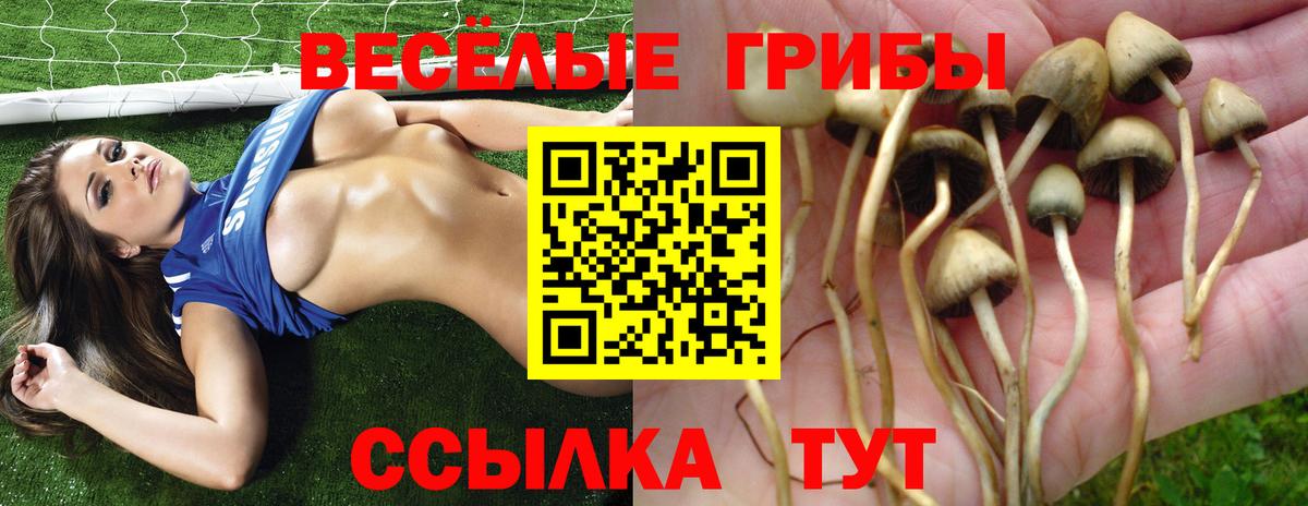  КОКАИН Лыткарино