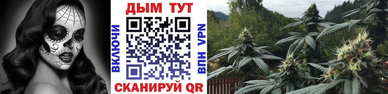 Бошки марихуана тримм  Лыткарино 
